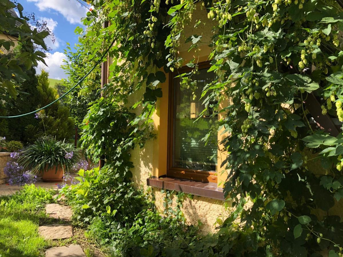 Ferienhaus Erzgebirge "An Der Trebe" Mit Kamin Und Sauna Нойхаузен Экстерьер фото
