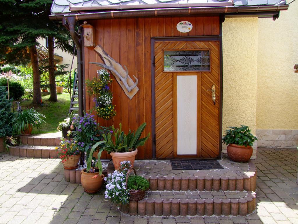 Ferienhaus Erzgebirge "An Der Trebe" Mit Kamin Und Sauna Нойхаузен Номер фото