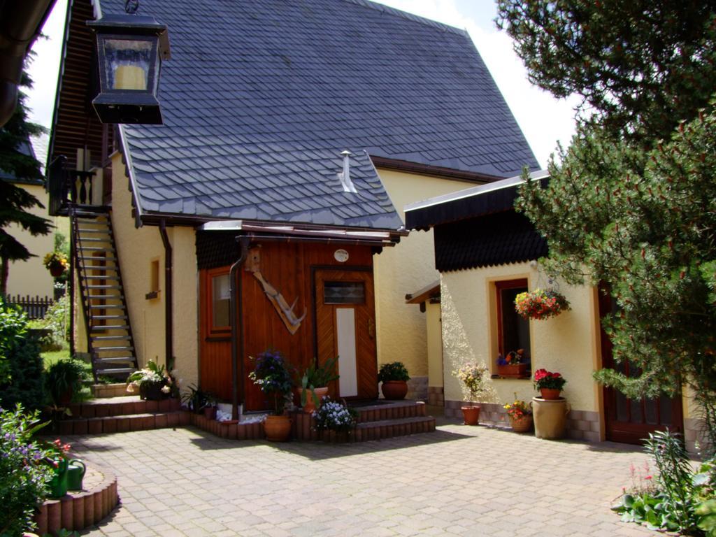 Ferienhaus Erzgebirge "An Der Trebe" Mit Kamin Und Sauna Нойхаузен Номер фото