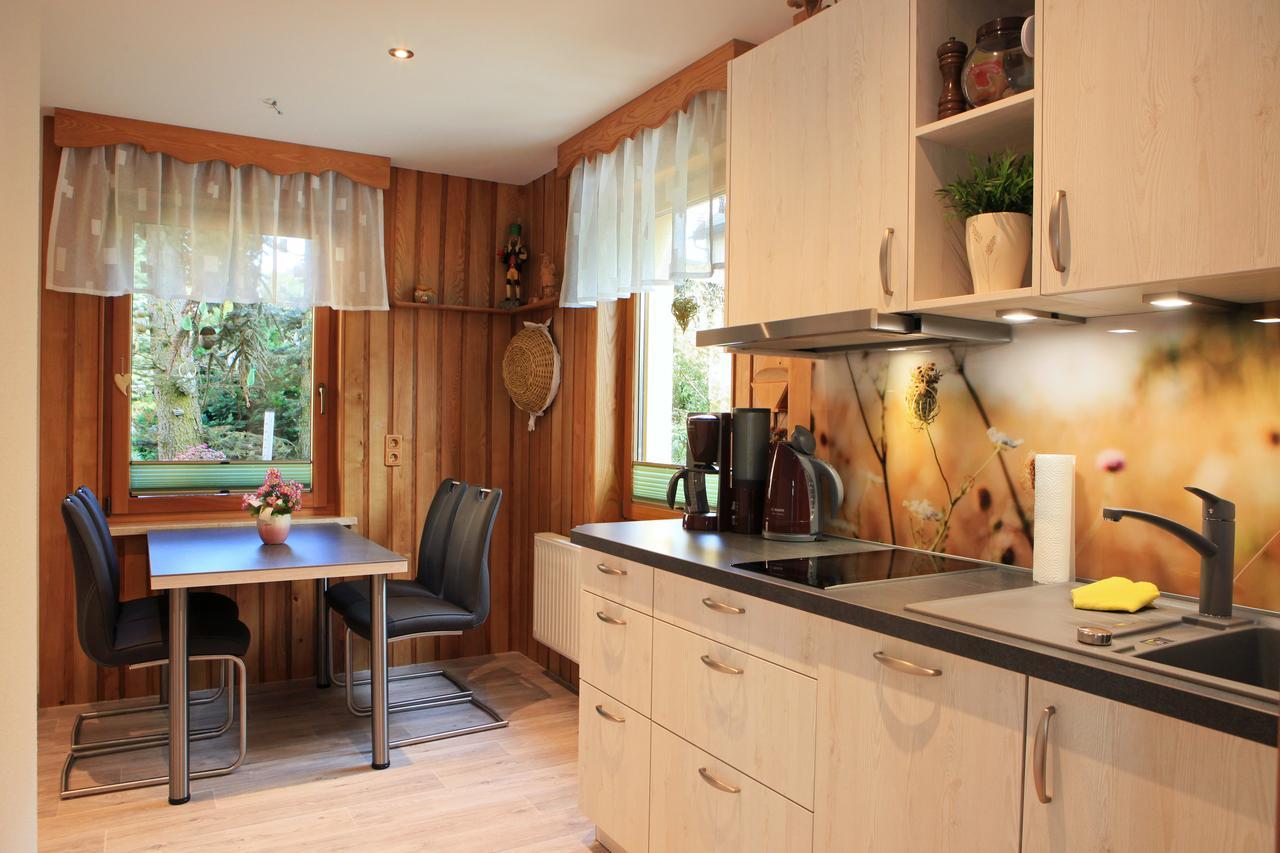 Ferienhaus Erzgebirge "An Der Trebe" Mit Kamin Und Sauna Нойхаузен Экстерьер фото